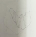 Photo of an archaeological report.